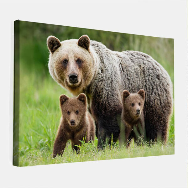 Beer-met-babies-canvas-binnen.jpg