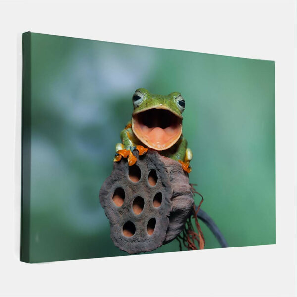 Blije-kikker-canvas-binnen.jpg