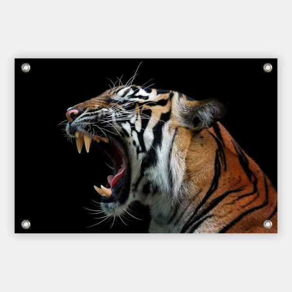 Boze-Siberische-tijger-tuindoek.jpg