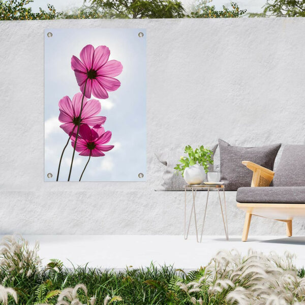 Cosmos-bipinnatus-bloem-tuindoek-sfeer.jpg