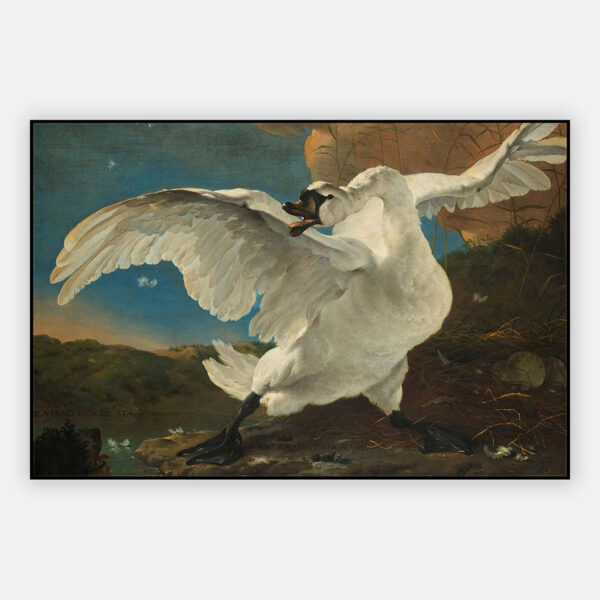 De-bedreigde-zwaan-Jan-Asselijn-ca-1650-artframe.jpg