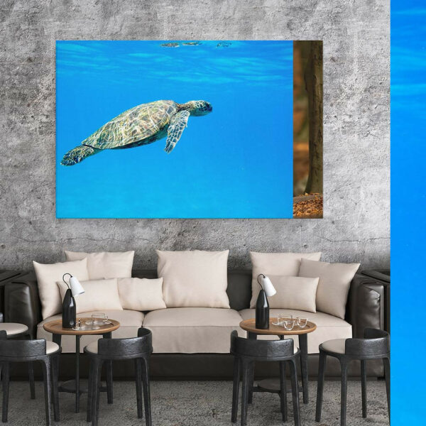 Groene-Zeeschildpad-canvas-binnen-sfeer.jpg