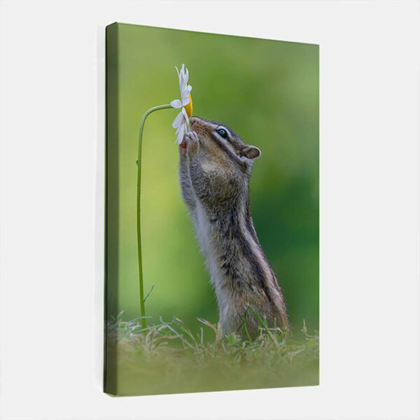 Grondeekhoorn-met-bloem-canvas-binnen.jpg