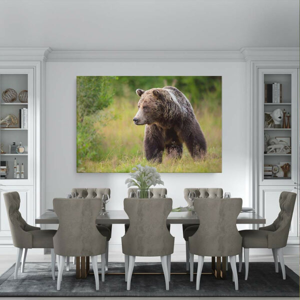 Grote-bruine-beer-in-de-zomer-canvas-binnen-sfeer.jpg