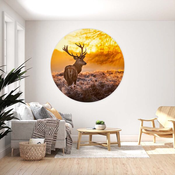 Muurcirkel Hert zonsopgang
