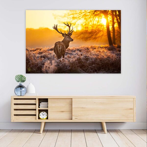 Schilderij Hert zonsopgang