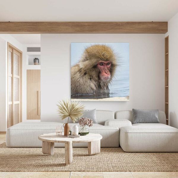 Japanse-Makaak-in-het-water-canvas-binnen-sfeer.jpg