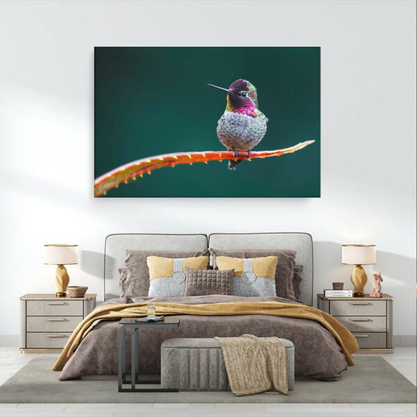 Kolibri-op-cactus-canvas-binnen-sfeer.jpg