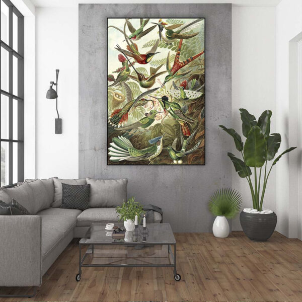 Kolibries-Trochilida-Ernst-Haeckel-artframe-sfeer.jpg