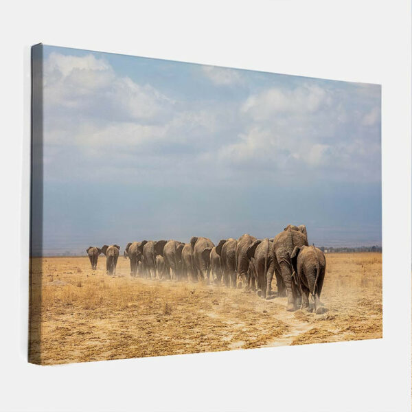 Kudde-olifanten-canvas-binnen.jpg