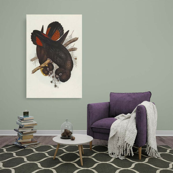 Leach's-Cockatoo-Elizabeth-Gould-canvas-sfeer.jpg