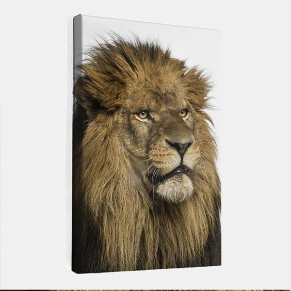 Leeuw-canvas-binnen.jpg