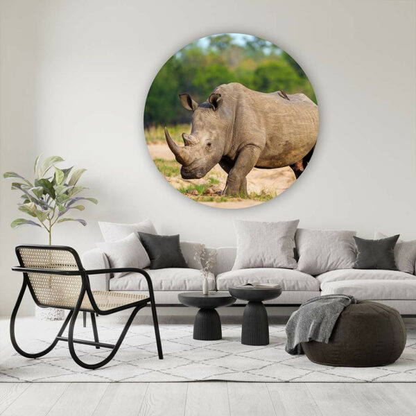 Neushoorn-2-muurcirkel-sfeer.jpg
