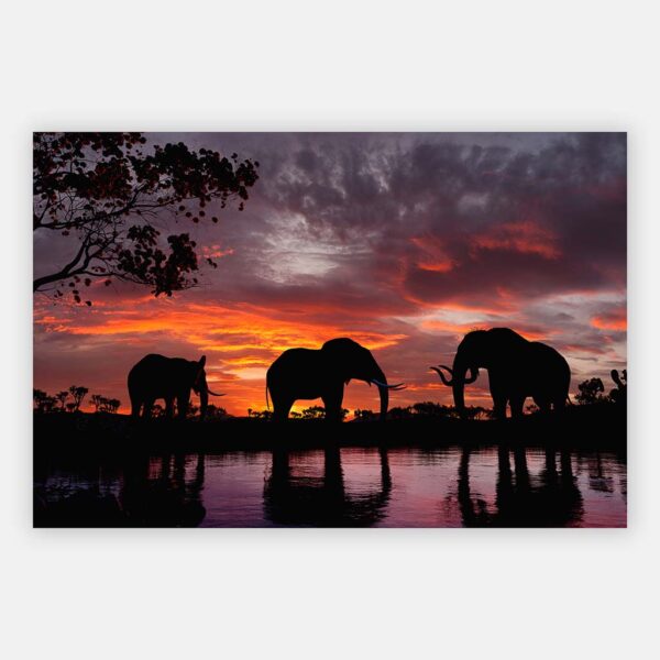 Schilderij olifanten bij zonsondergang