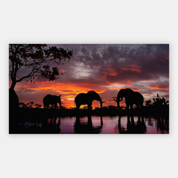 Olifanten-bij-zonsondergang-wandpaneel.jpg