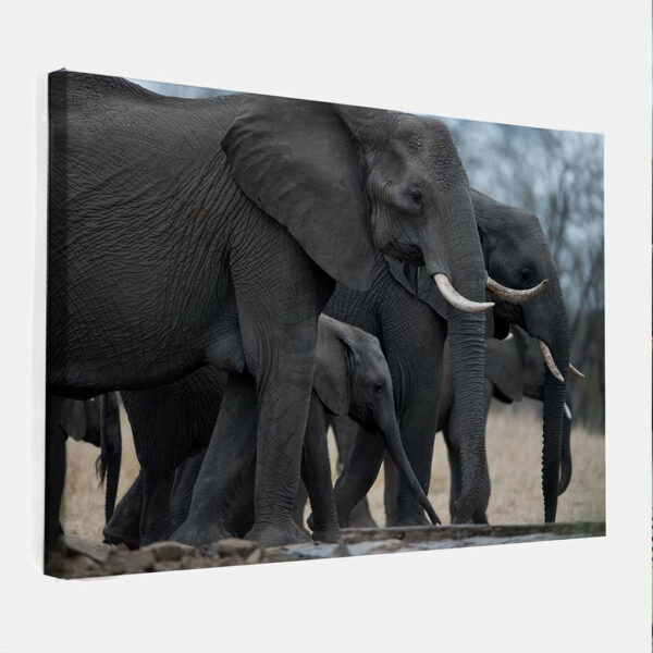 Olifanten-canvas-binnen.jpg