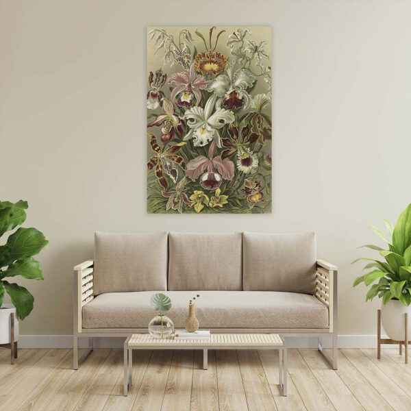 Orchidea-Ernst-Haeckel-wandpaneel-sfeer.jpg