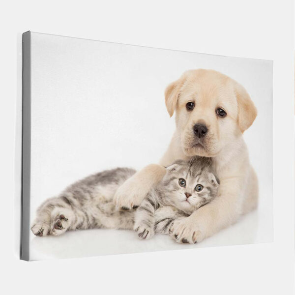 Puppy-met-kitten-2-canvas-binnen.jpg