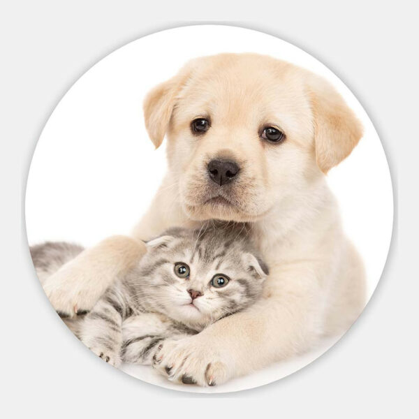 Puppy-met-kitten-2-muurcirkel.jpg