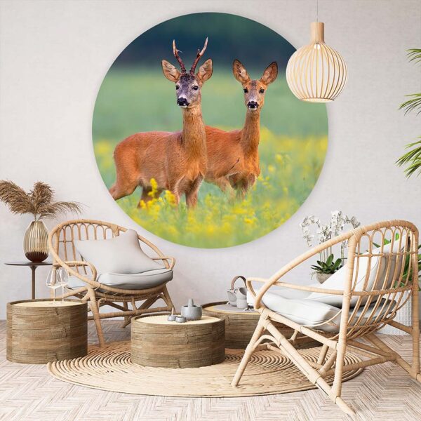 Muurcirkel Ree hertjes in de natuur