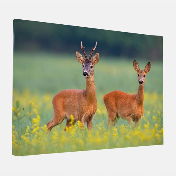 Canvas Ree hert koppel