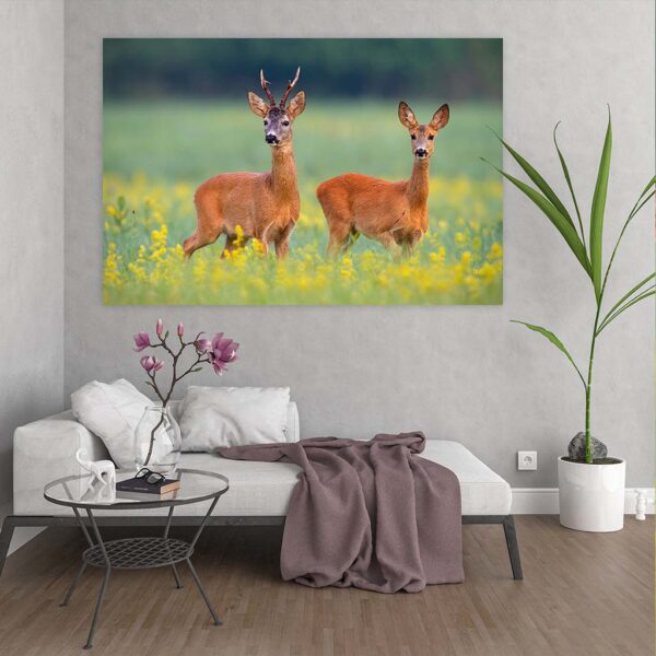 Schilderij Ree hertjes in de natuur