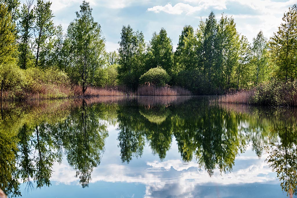 foto tip refelecties