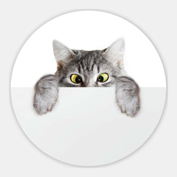 Schele-kitten-muurcirkel.jpg