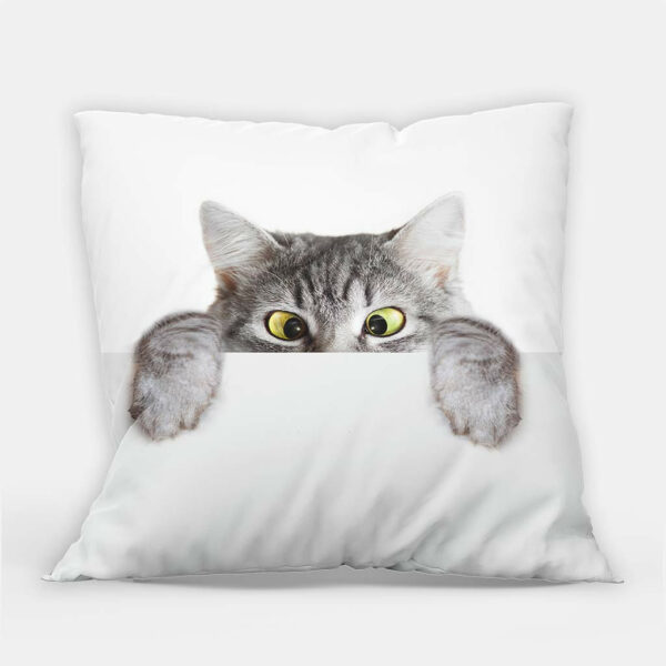 Schele-kitten-sierkussen-buiten.jpg