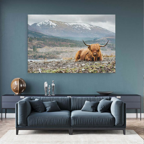 Schotse-Hooglander-in-berglandschap-canvas-binnen-sfeer.jpg