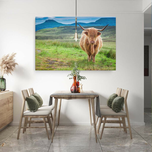 Schotse-hooglander-3-canvas-binnen-sfeer.jpg