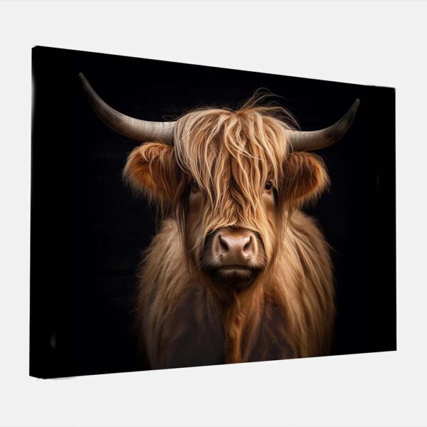 Canvas schilderij Schotse Hooglander zwarte achtergrond
