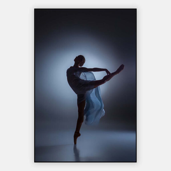 Silhouette-balletdanseres-blauw-grijs-artframe.jpg
