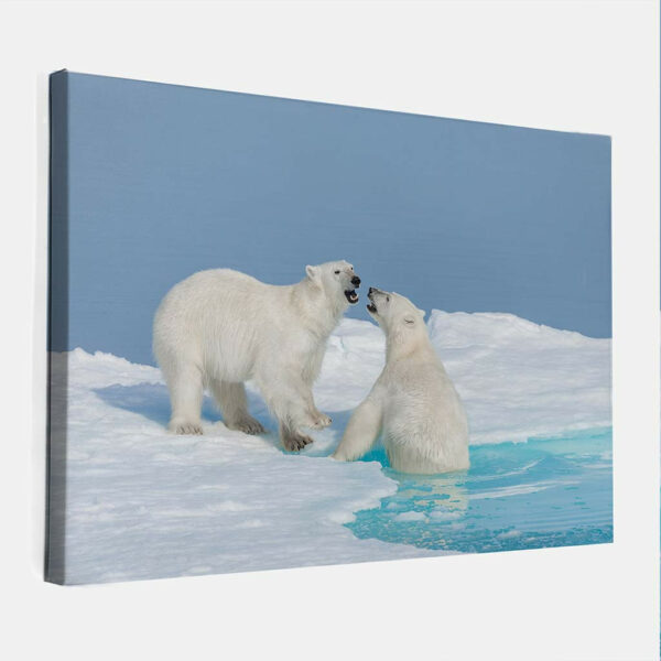 Spelende-jonge-ijsberen-Spitsbergen-canvas-binnen.jpg