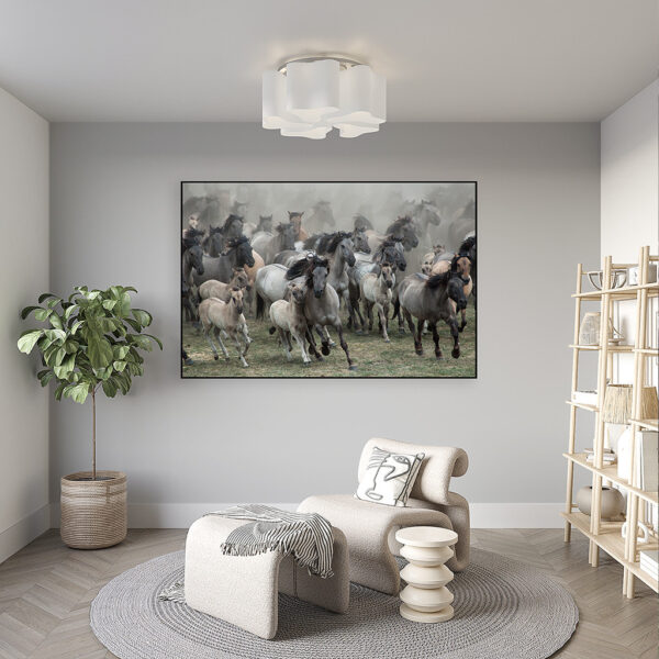Wilde-paarden-NG-artframe-sfeer.jpg