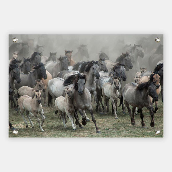 Wilde-paarden-NG-tuindoek.jpg