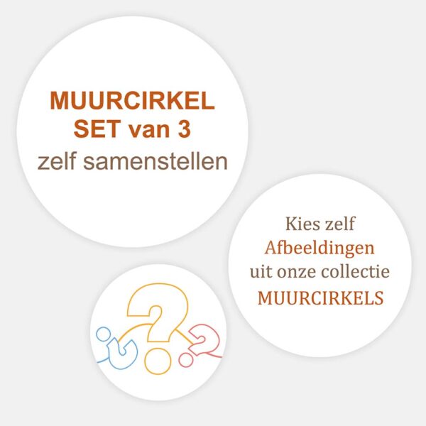 Muurcirkel set van 3 zelf samenstellen