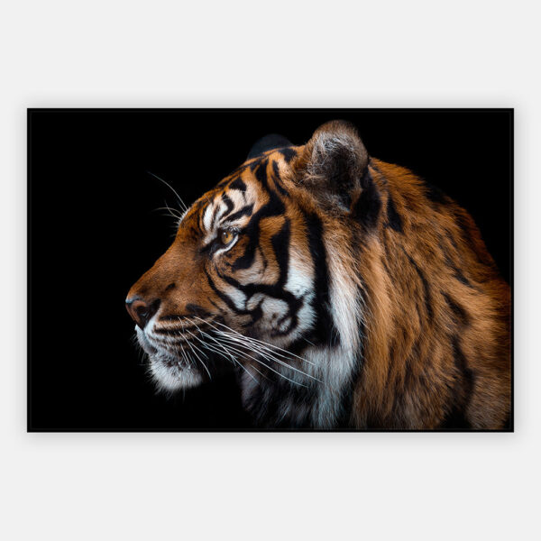 tijger-artframe.jpg